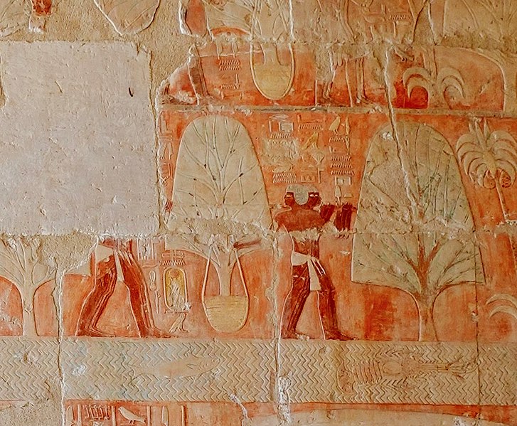 Bas-reliefs du temple de Deir el-Bahari 