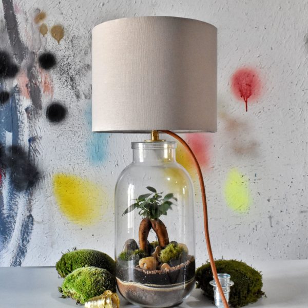 Kit terrarium lampe DIY ficus