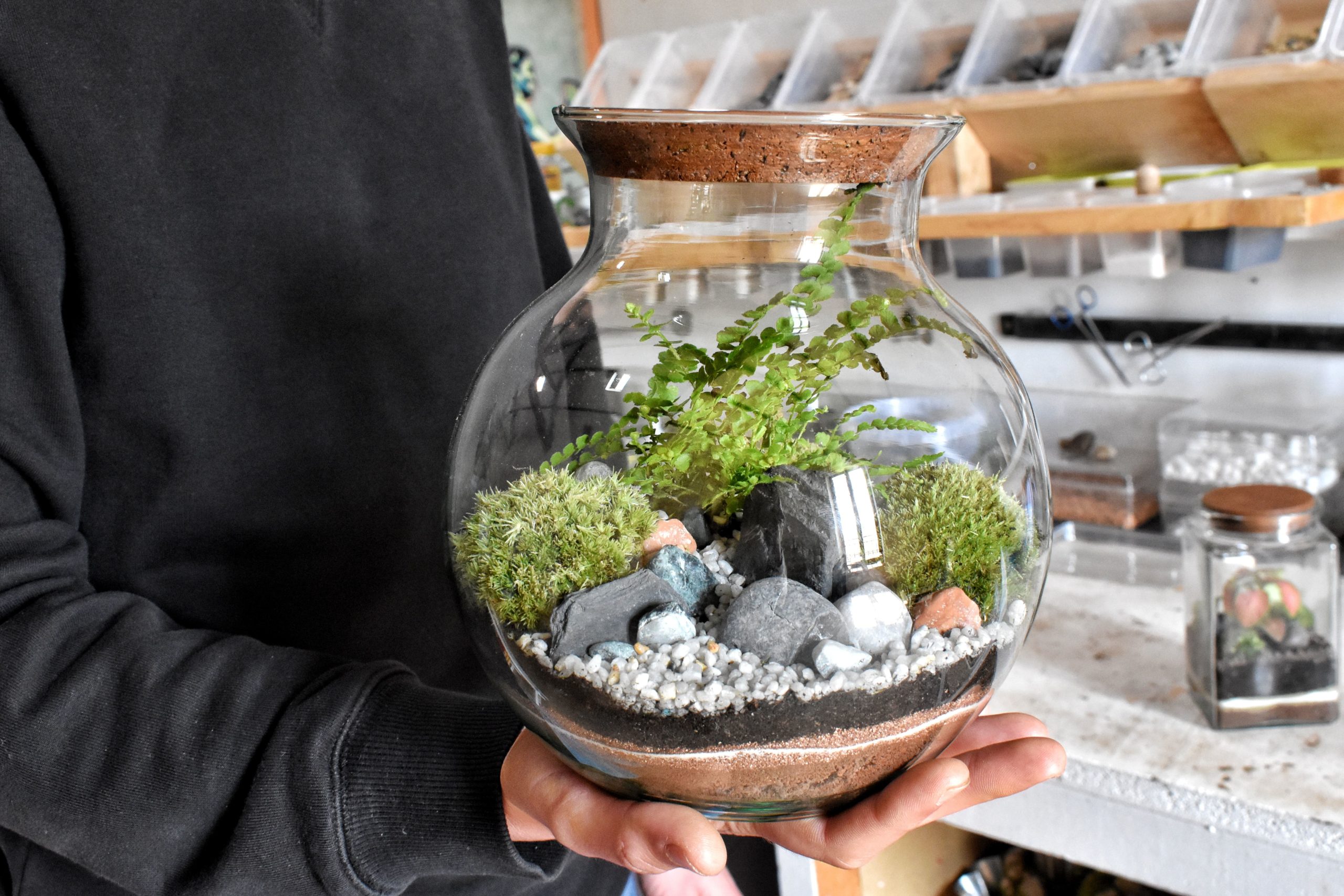 Kit terrarium DIY Bocal et Plante Fougère Fittonia Juno Bois Joli