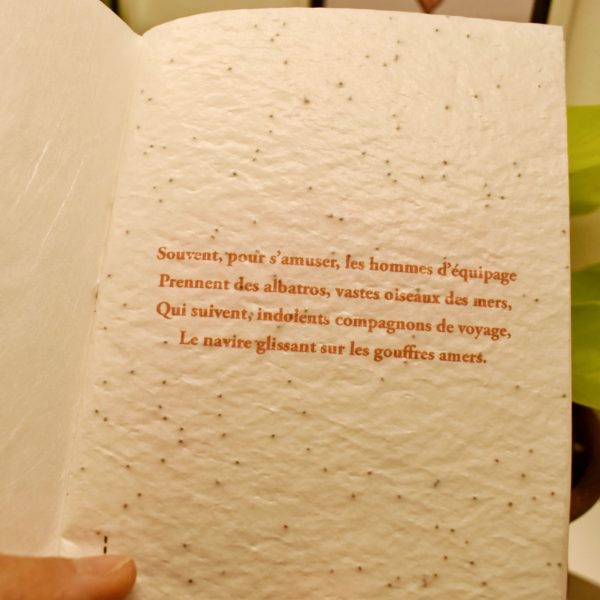 Poème à planter l'Albatros